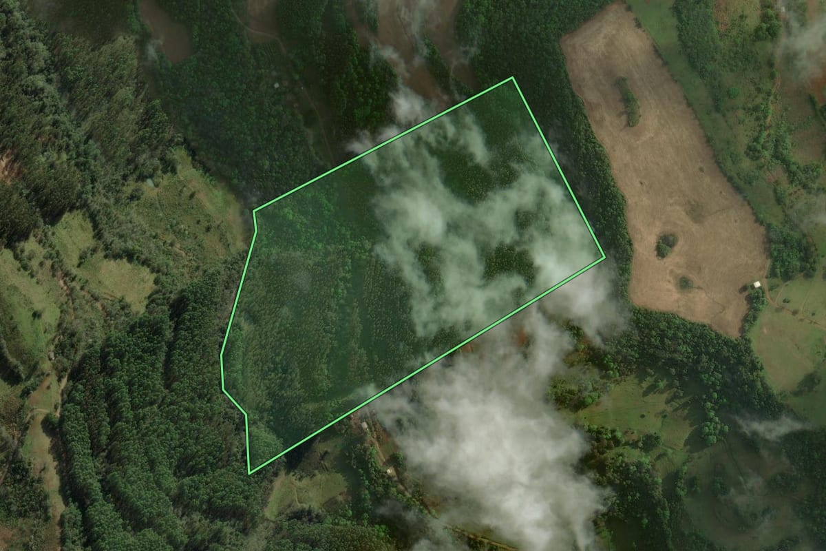 Imagem de satélite do imóvel rural em Itatiba do Sul (RS), com o contorno declarado no CAR desenhado por cima.