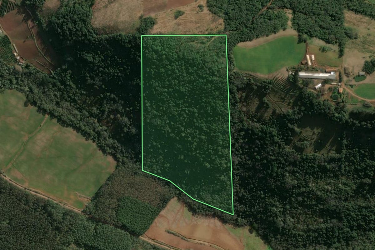 Imagem de satélite do imóvel rural em Itatiba do Sul (RS), com o contorno declarado no CAR desenhado por cima.