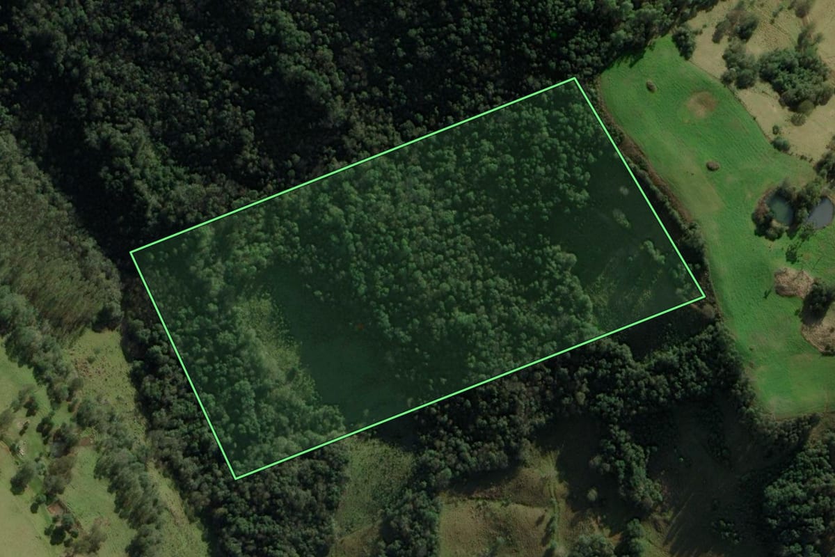 Imagem de satélite do imóvel rural em Itatiba do Sul (RS), com o contorno declarado no CAR desenhado por cima.
