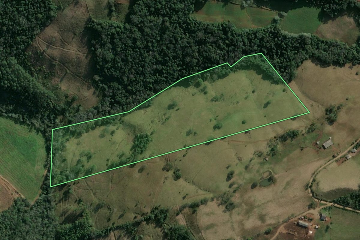 Imagem de satélite do imóvel rural em Itatiba do Sul (RS), com o contorno declarado no CAR desenhado por cima.