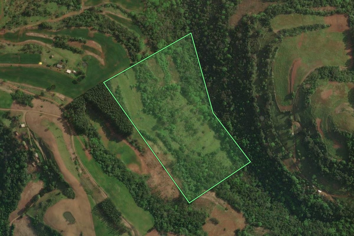 Imagem de satélite do imóvel rural em Itatiba do Sul (RS), com o contorno declarado no CAR desenhado por cima.