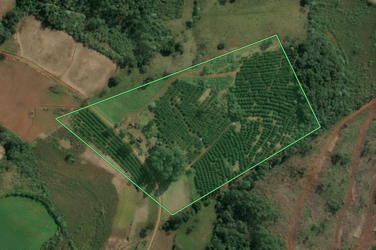 Imagem de satélite do imóvel rural em Itatiba do Sul (RS), com o contorno declarado no CAR desenhado por cima.