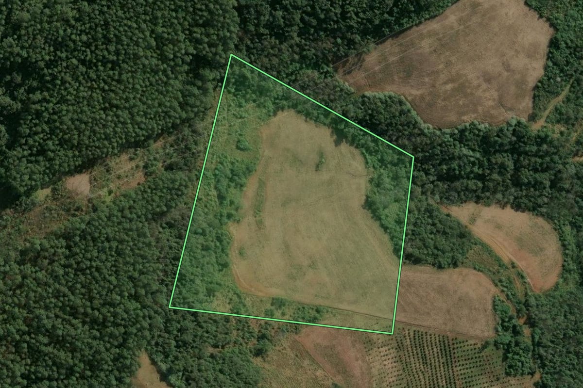 Imagem de satélite do imóvel rural em Itatiba do Sul (RS), com o contorno declarado no CAR desenhado por cima.
