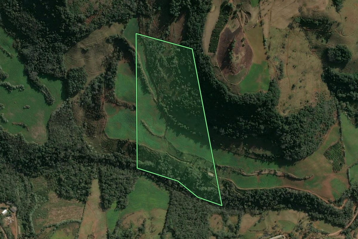 Imagem de satélite do imóvel rural em Itatiba do Sul (RS), com o contorno declarado no CAR desenhado por cima.