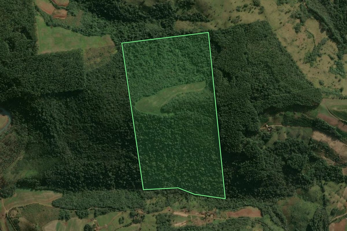 Imagem de satélite do imóvel rural em Itatiba do Sul (RS), com o contorno declarado no CAR desenhado por cima.