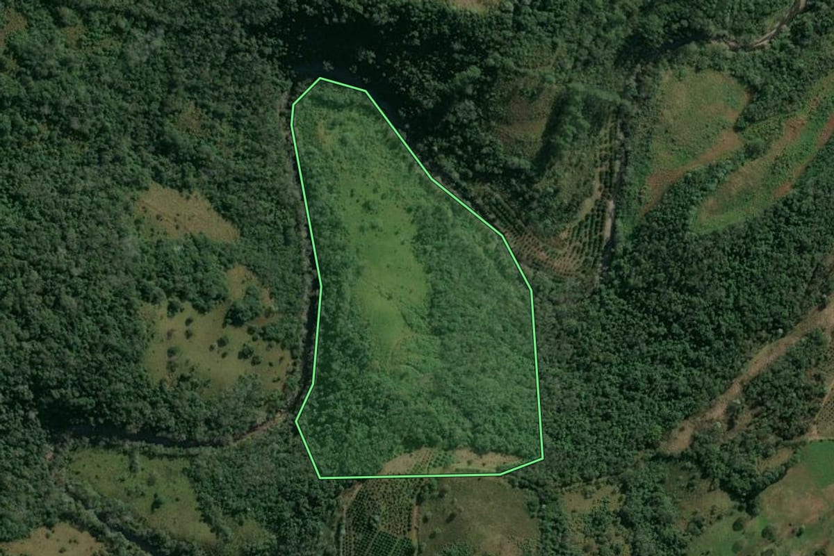 Imagem de satélite do imóvel rural em Itatiba do Sul (RS), com o contorno declarado no CAR desenhado por cima.