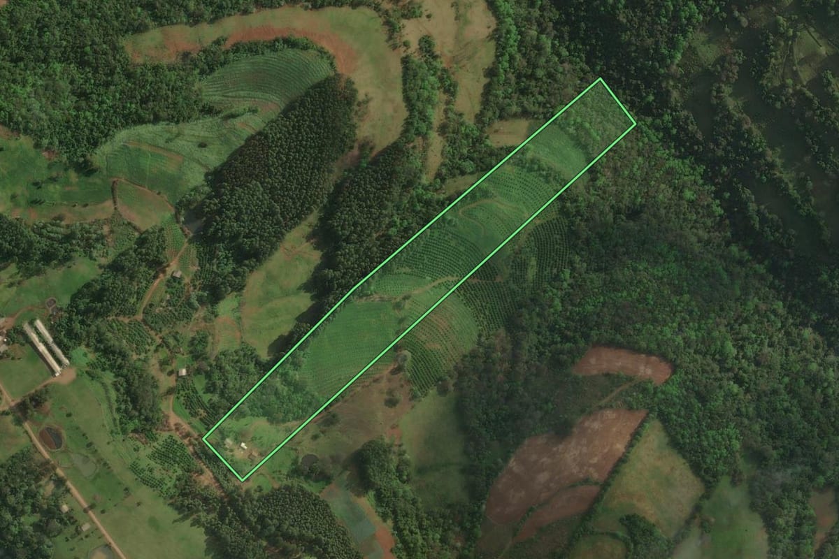 Imagem de satélite do imóvel rural em Itatiba do Sul (RS), com o contorno declarado no CAR desenhado por cima.