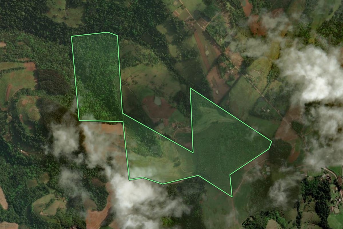 Imagem de satélite do imóvel rural em Itatiba do Sul (RS), com o contorno declarado no CAR desenhado por cima.