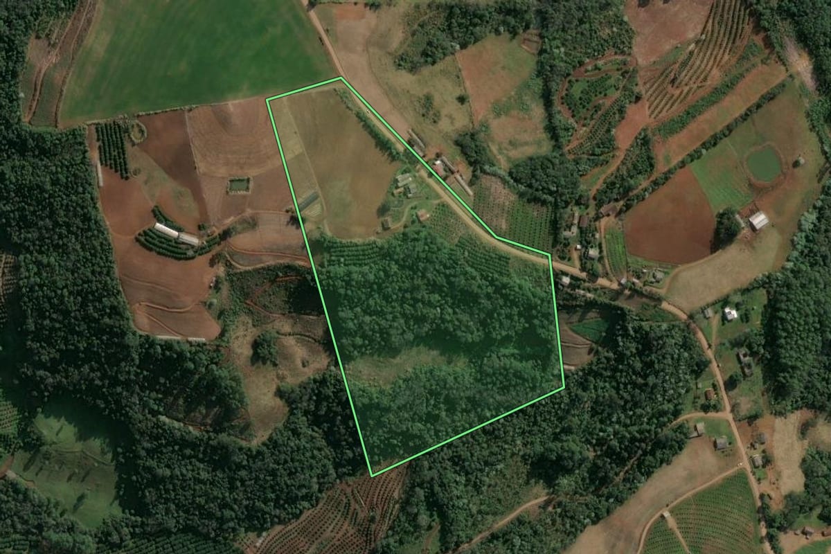Imagem de satélite do imóvel rural em Itatiba do Sul (RS), com o contorno declarado no CAR desenhado por cima.