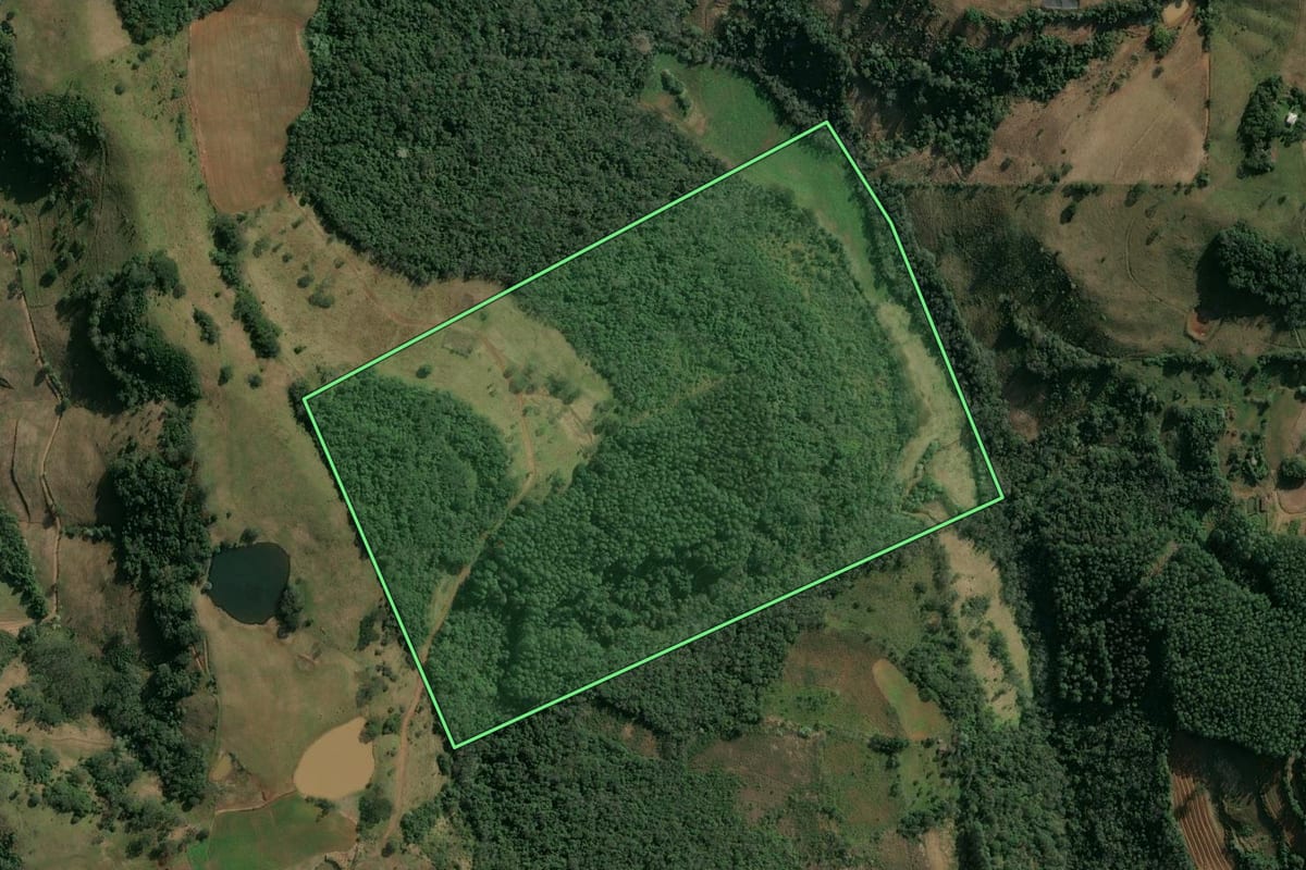 Imagem de satélite do imóvel rural em Itatiba do Sul (RS), com o contorno declarado no CAR desenhado por cima.