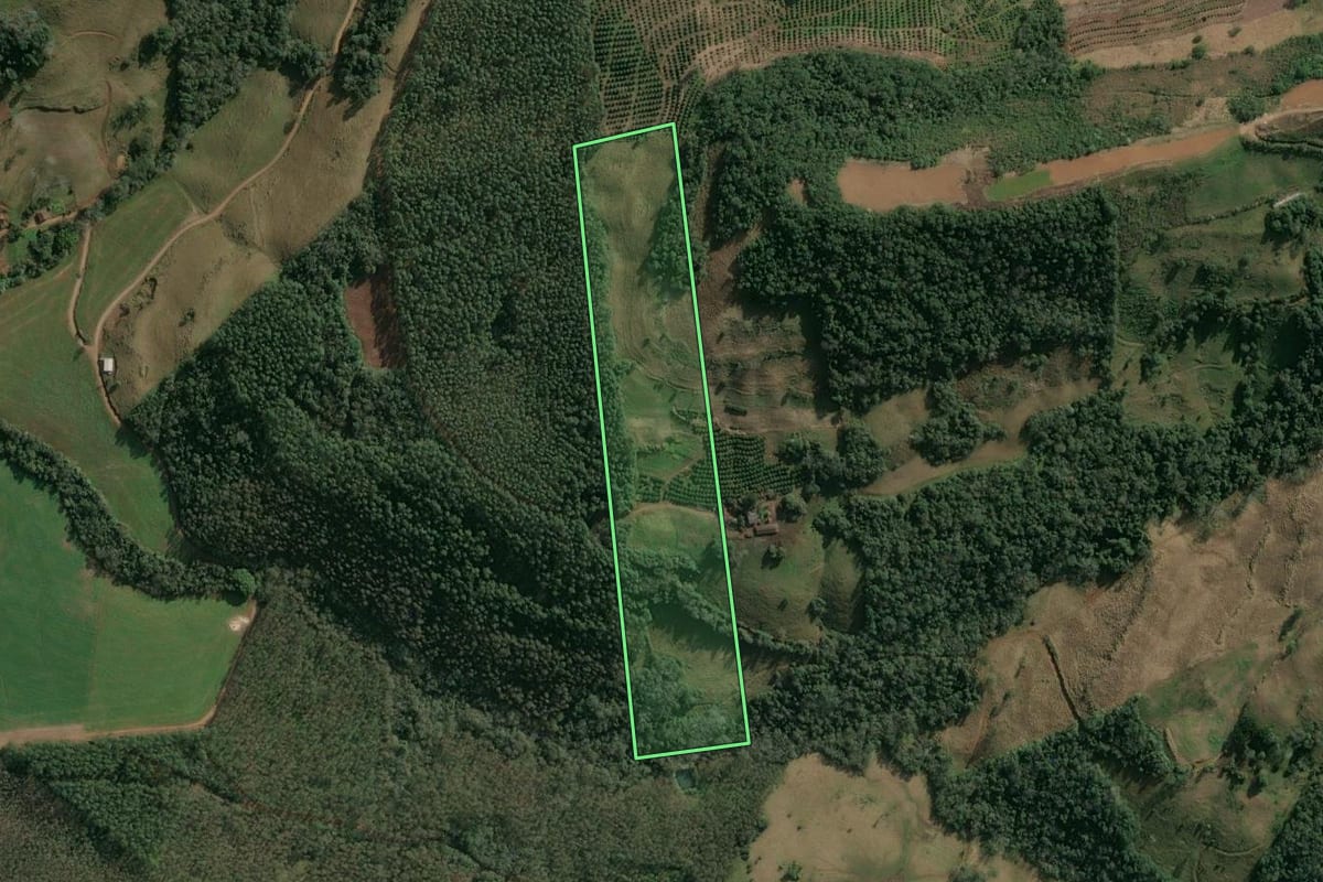 Imagem de satélite do imóvel rural em Itatiba do Sul (RS), com o contorno declarado no CAR desenhado por cima.