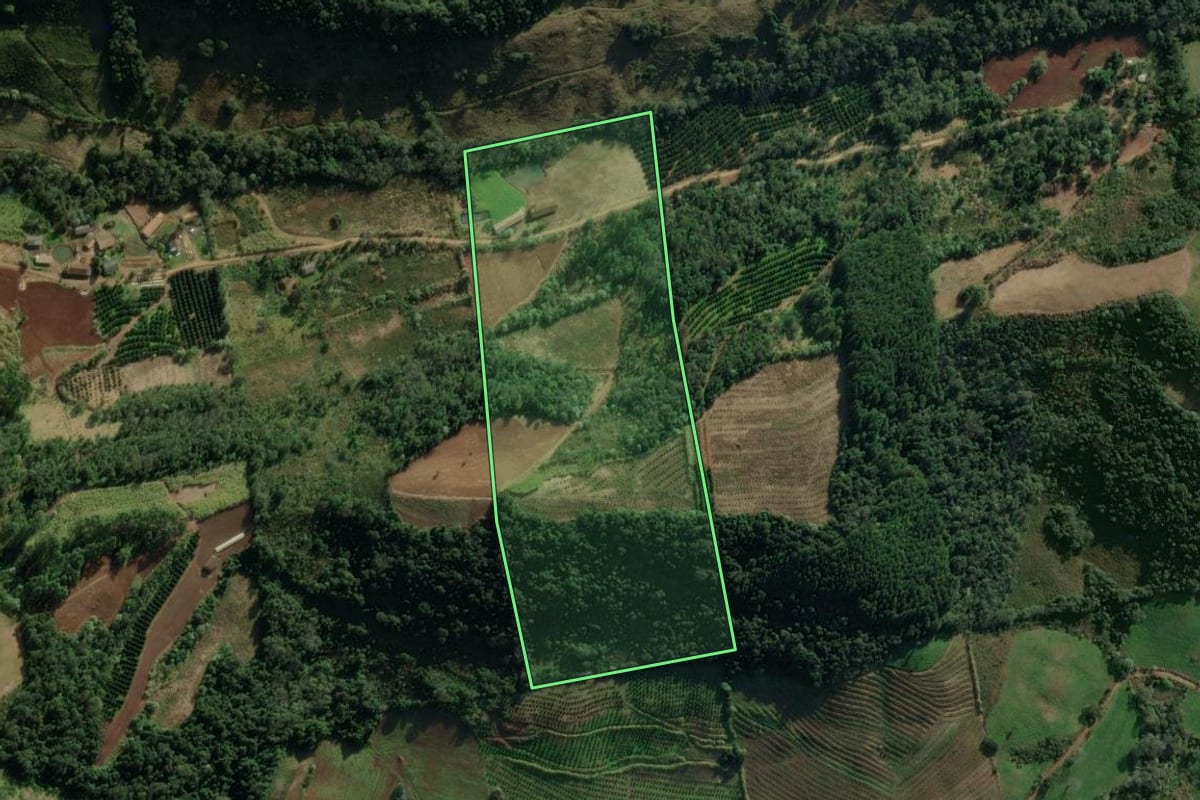 Imagem de satélite do imóvel rural em Itatiba do Sul (RS), com o contorno declarado no CAR desenhado por cima.