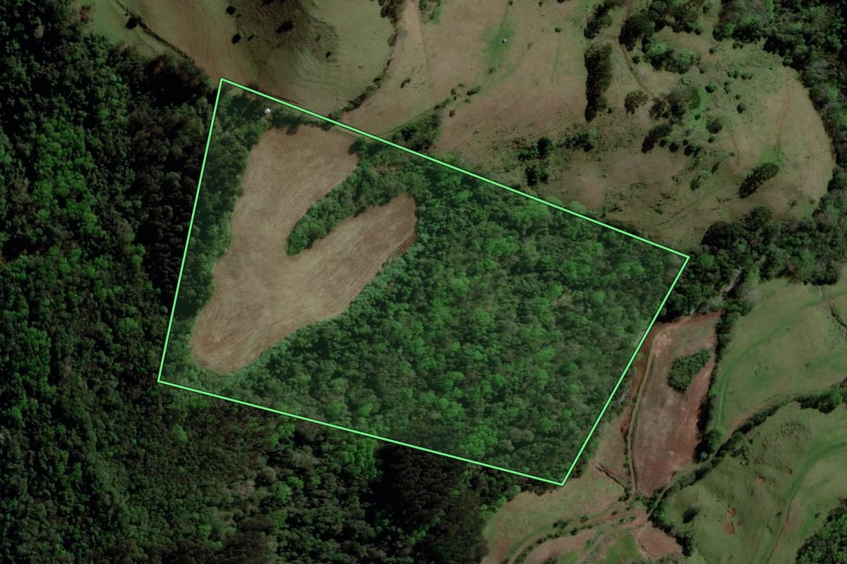 Imagem de satélite do imóvel rural em Itatiba do Sul (RS), com o contorno declarado no CAR desenhado por cima.