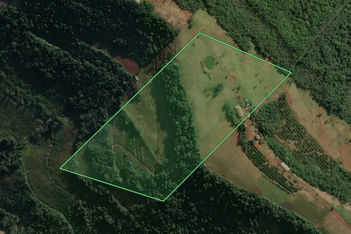Imagem de satélite do imóvel rural em Itatiba do Sul (RS), com o contorno declarado no CAR desenhado por cima.