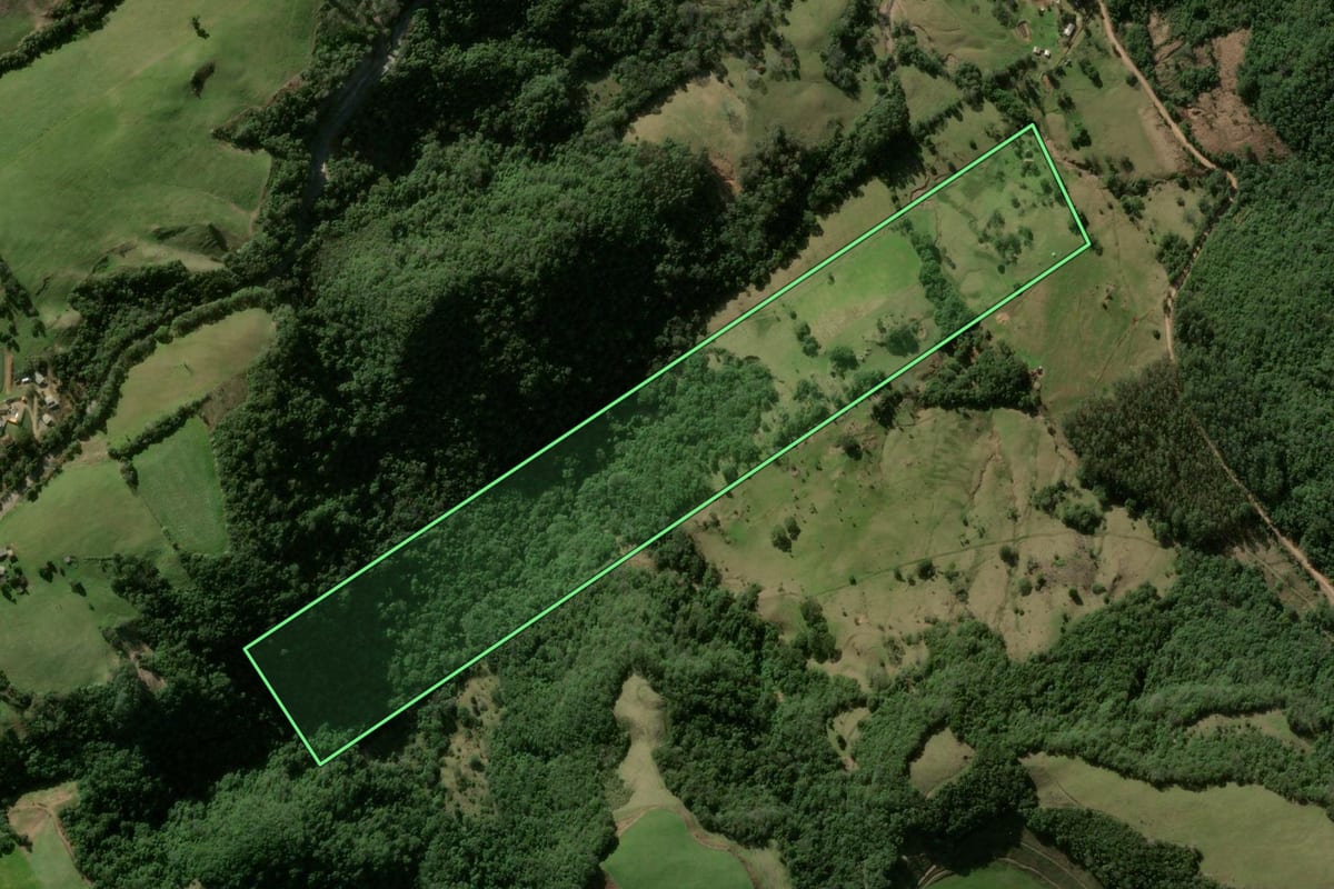 Imagem de satélite do imóvel rural em Ivorá (RS), com o contorno declarado no CAR desenhado por cima.
