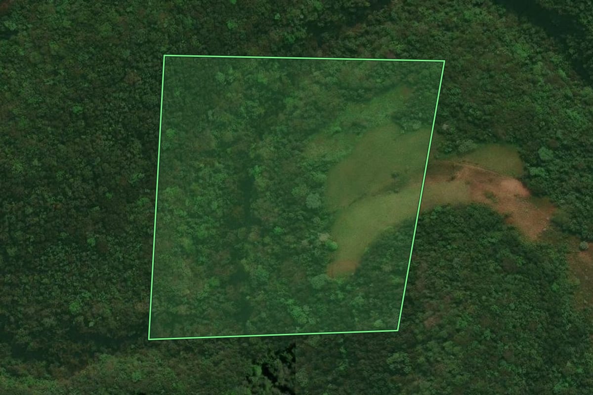 Imagem de satélite do imóvel rural em Ivorá (RS), com o contorno declarado no CAR desenhado por cima.