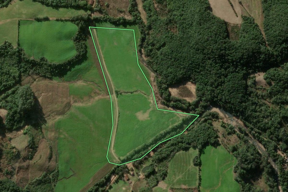 Imagem de satélite do imóvel rural em Silveira Martins (RS), com o contorno declarado no CAR desenhado por cima.