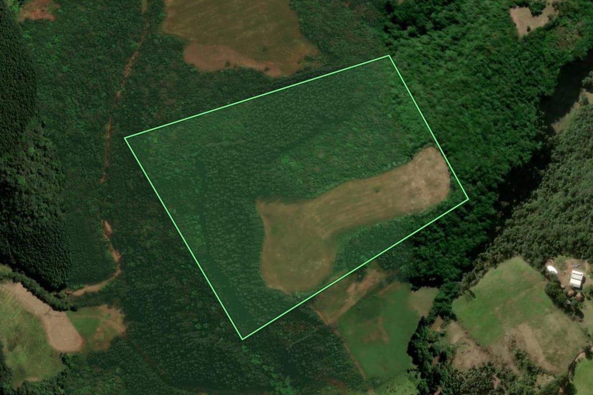 Imagem de satélite do imóvel rural em Ivorá (RS), com o contorno declarado no CAR desenhado por cima.