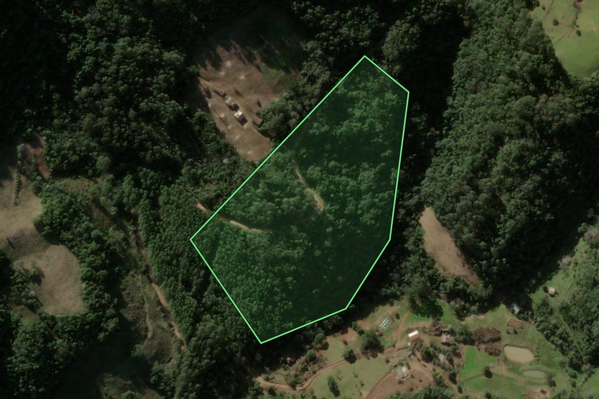 Imagem de satélite do imóvel rural em Ivorá (RS), com o contorno declarado no CAR desenhado por cima.