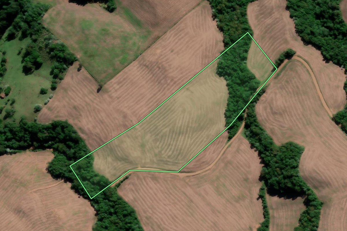 Imagem de satélite do imóvel rural em Ivorá (RS), com o contorno declarado no CAR desenhado por cima.