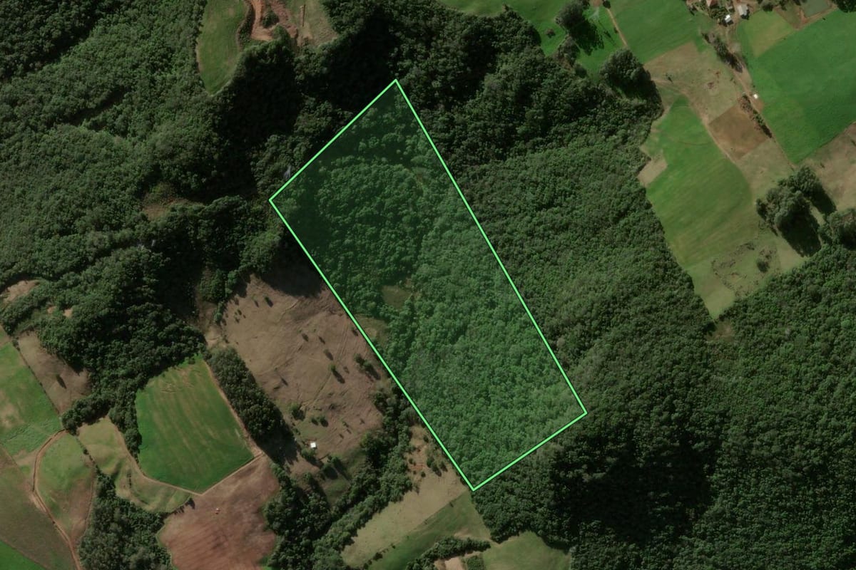 Imagem de satélite do imóvel rural em Ivorá (RS), com o contorno declarado no CAR desenhado por cima.