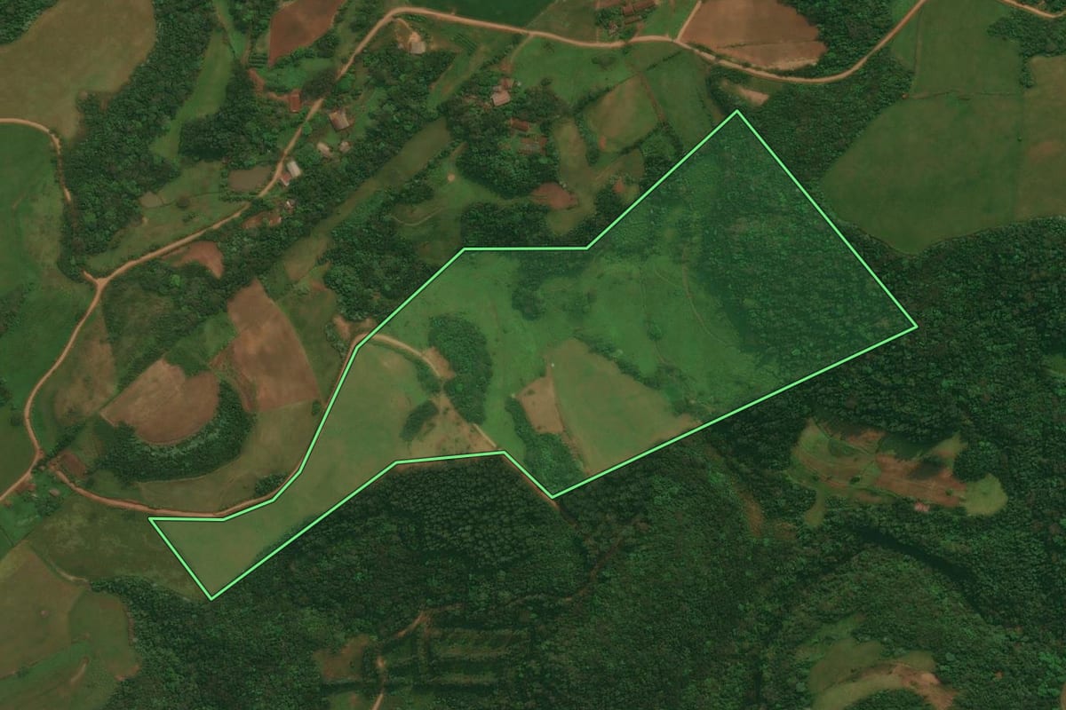 Imagem de satélite do imóvel rural em Ivorá (RS), com o contorno declarado no CAR desenhado por cima.