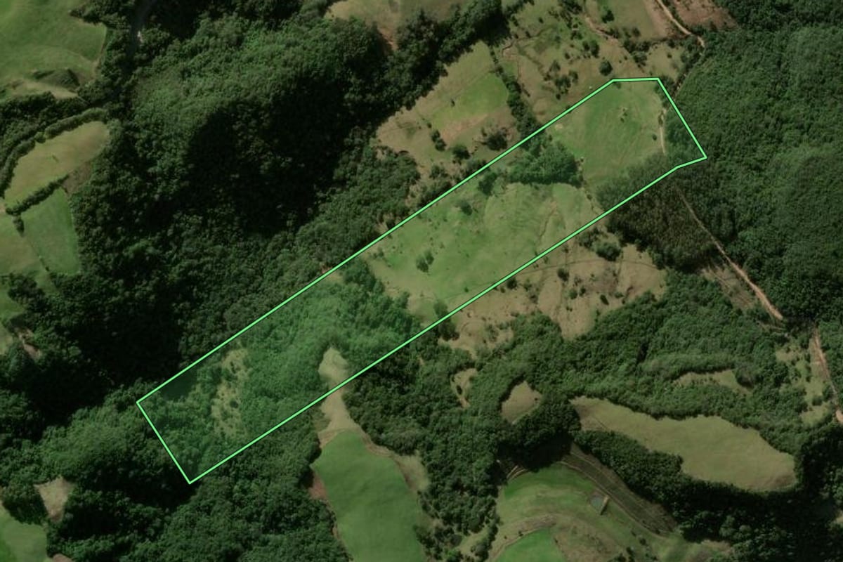 Imagem de satélite do imóvel rural em Ivorá (RS), com o contorno declarado no CAR desenhado por cima.