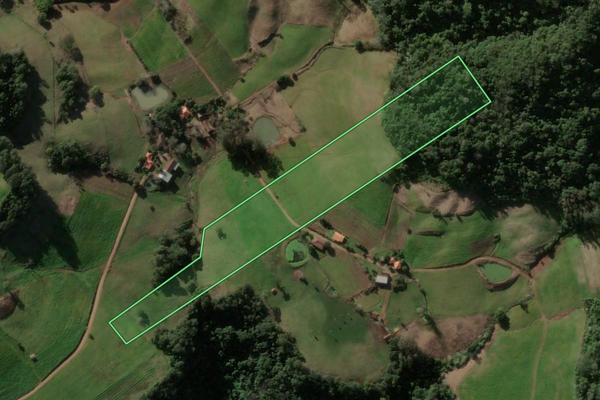 Imagem de satélite do imóvel rural em Ivorá (RS), com o contorno declarado no CAR desenhado por cima.