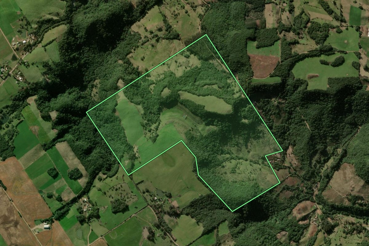 Imagem de satélite do imóvel rural em Ivorá (RS), com o contorno declarado no CAR desenhado por cima.