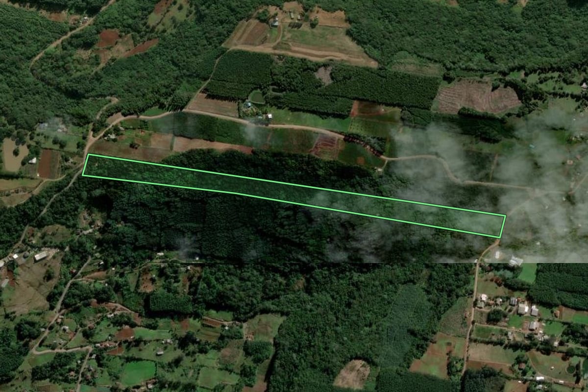 Imagem de satélite do imóvel rural em Ivoti (RS), com o contorno declarado no CAR desenhado por cima.