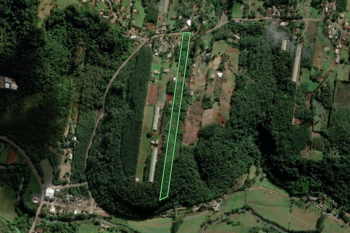 Imagem de satélite do imóvel rural em Ivoti (RS), com o contorno declarado no CAR desenhado por cima.