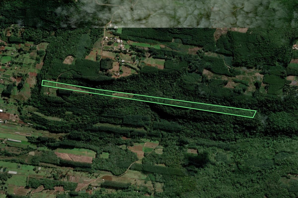 Imagem de satélite do imóvel rural em Ivoti (RS), com o contorno declarado no CAR desenhado por cima.