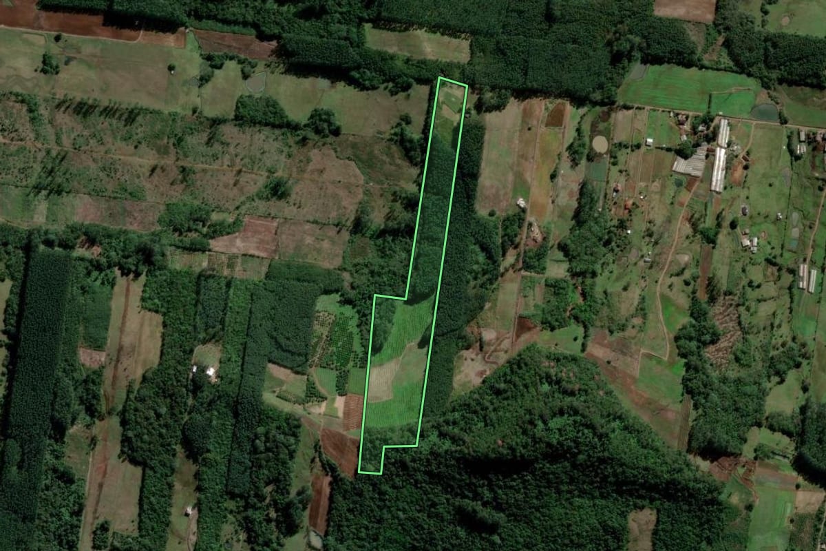 Imagem de satélite do imóvel rural em Ivoti (RS), com o contorno declarado no CAR desenhado por cima.