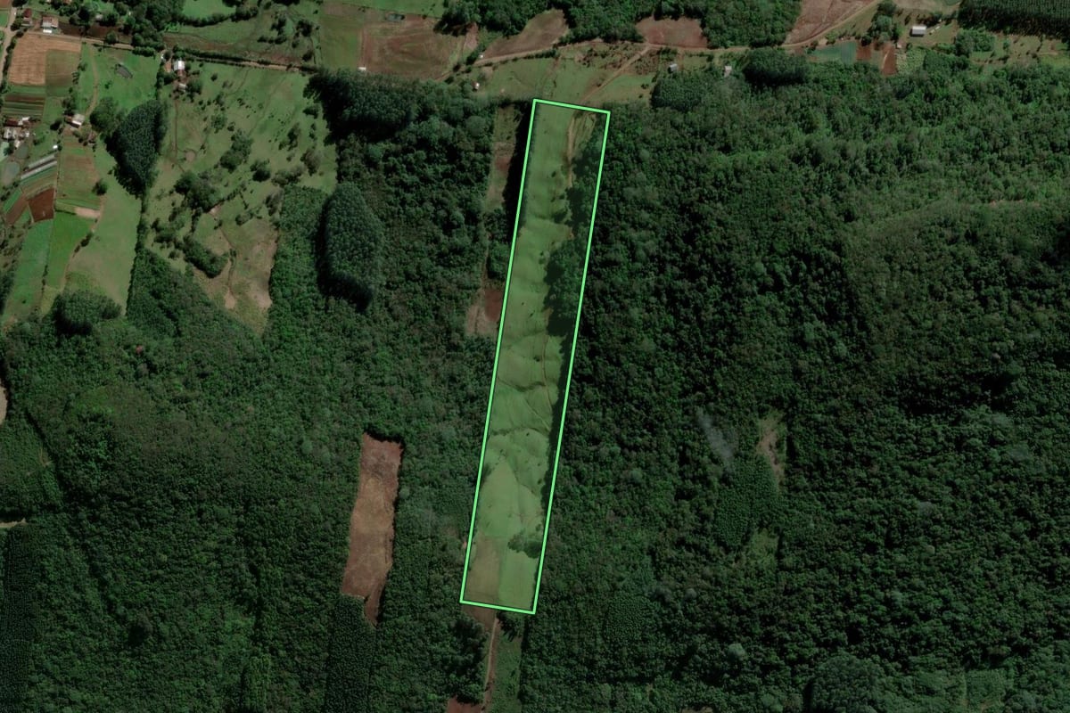 Imagem de satélite do imóvel rural em Ivoti (RS), com o contorno declarado no CAR desenhado por cima.
