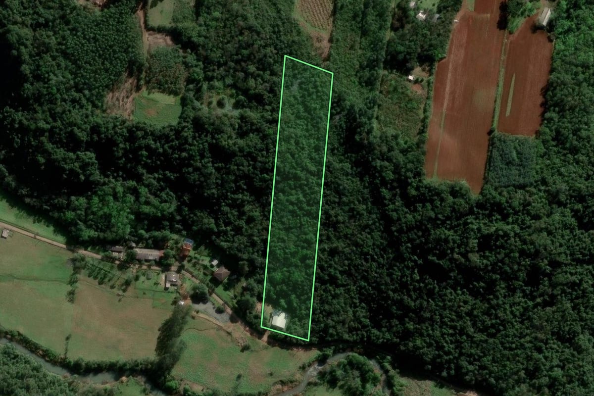 Imagem de satélite do imóvel rural em Ivoti (RS), com o contorno declarado no CAR desenhado por cima.