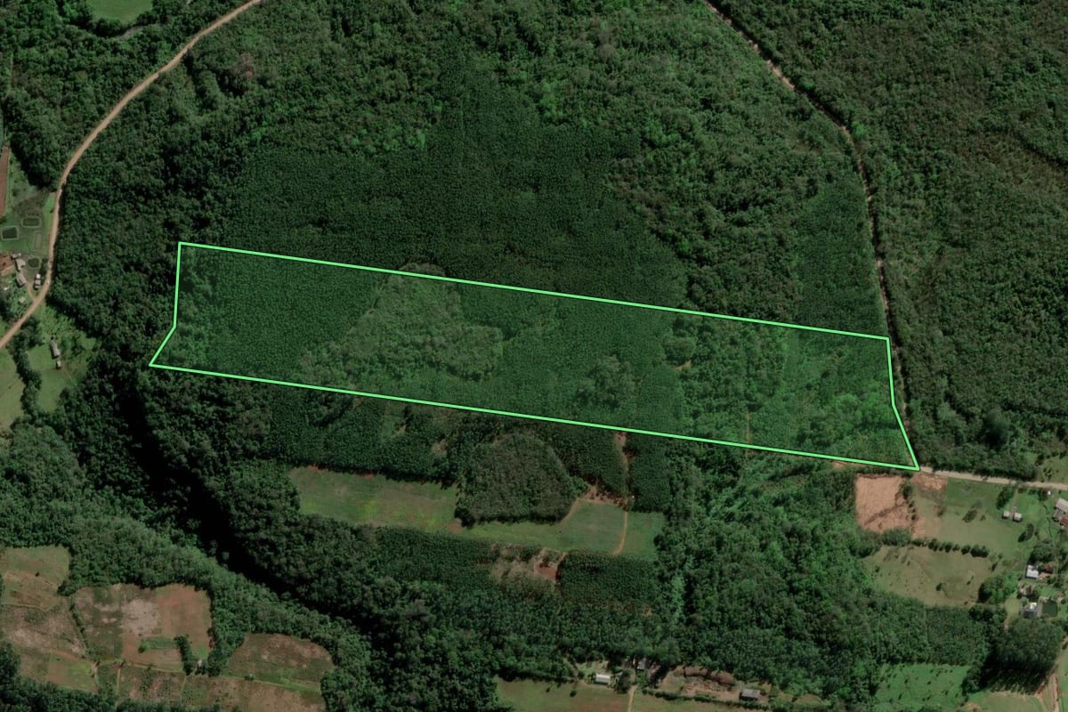 Imagem de satélite do imóvel rural em Ivoti (RS), com o contorno declarado no CAR desenhado por cima.