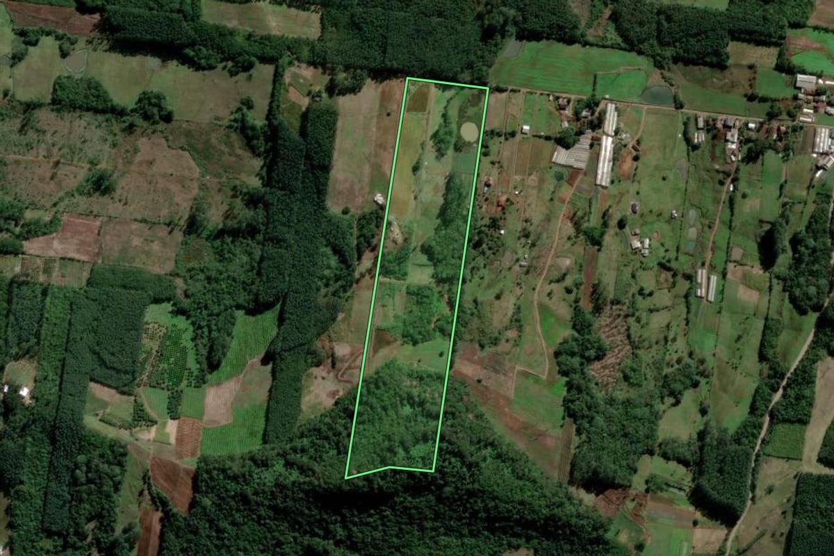 Imagem de satélite do imóvel rural em Ivoti (RS), com o contorno declarado no CAR desenhado por cima.