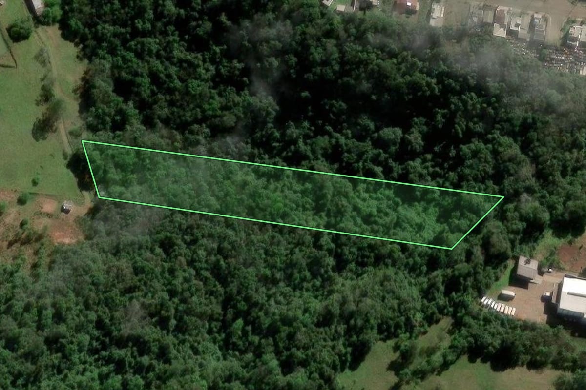 Imagem de satélite do imóvel rural em Ivoti (RS), com o contorno declarado no CAR desenhado por cima.
