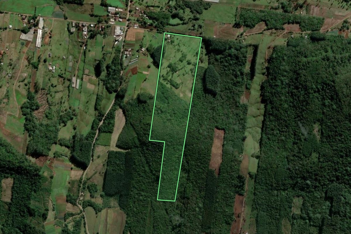 Imagem de satélite do imóvel rural em Ivoti (RS), com o contorno declarado no CAR desenhado por cima.