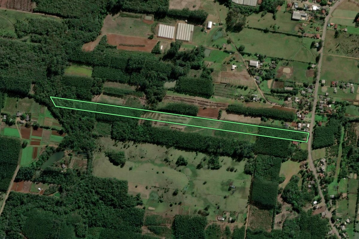 Imagem de satélite do imóvel rural em Ivoti (RS), com o contorno declarado no CAR desenhado por cima.