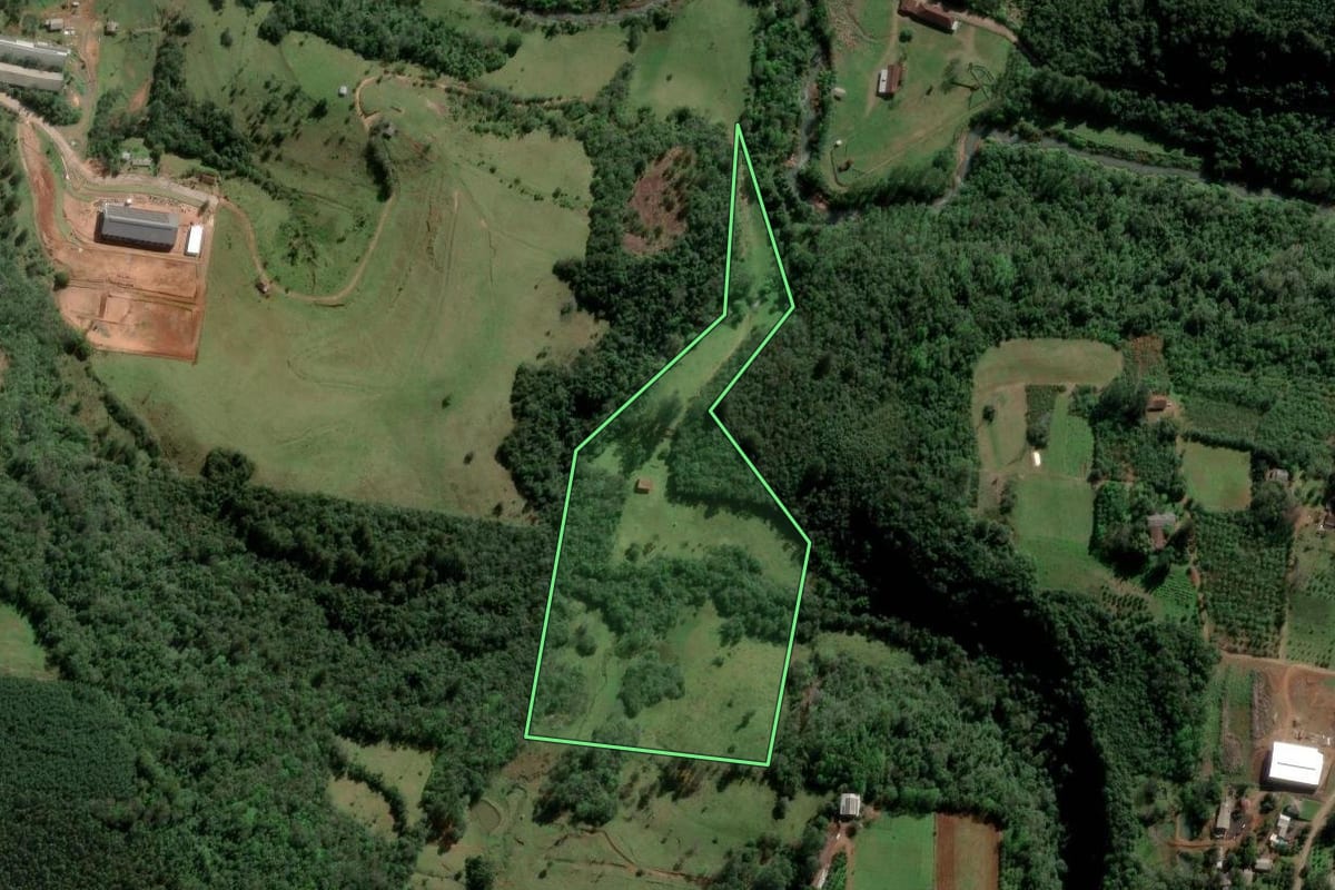 Imagem de satélite do imóvel rural em Ivoti (RS), com o contorno declarado no CAR desenhado por cima.