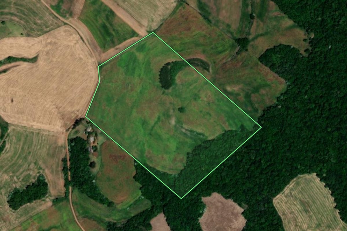 Imagem de satélite do imóvel rural em Jaboticaba (RS), com o contorno declarado no CAR desenhado por cima.