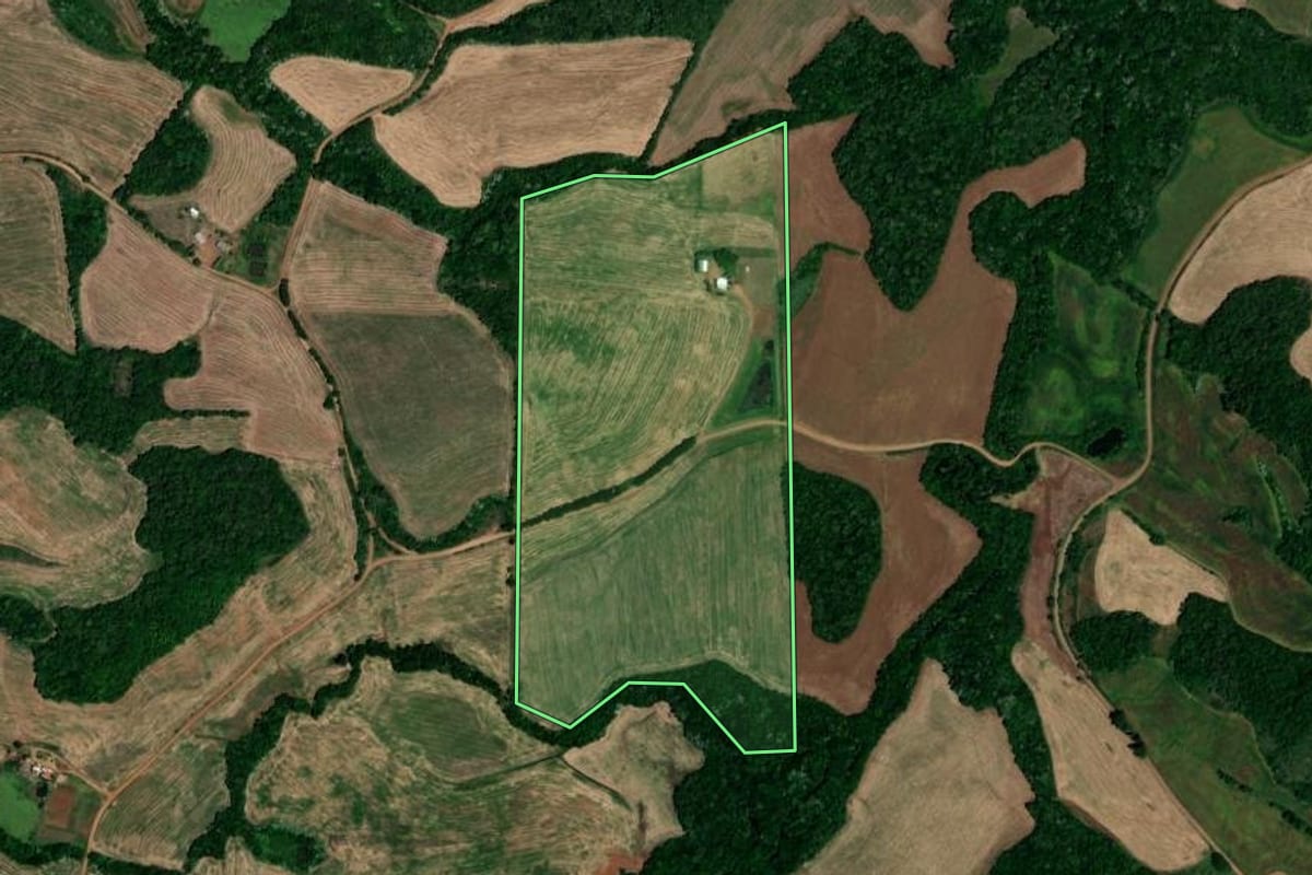 Imagem de satélite do imóvel rural em Jaboticaba (RS), com o contorno declarado no CAR desenhado por cima.