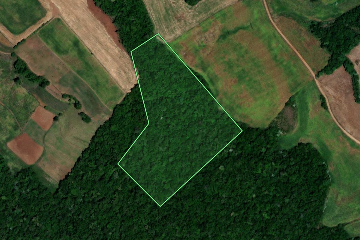 Imagem de satélite do imóvel rural em Jaboticaba (RS), com o contorno declarado no CAR desenhado por cima.