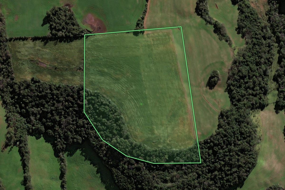 Imagem de satélite do imóvel rural em Jaboticaba (RS), com o contorno declarado no CAR desenhado por cima.