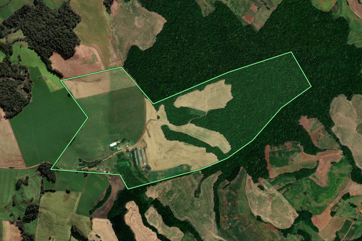 Imagem de satélite do imóvel rural em Jaboticaba (RS), com o contorno declarado no CAR desenhado por cima.
