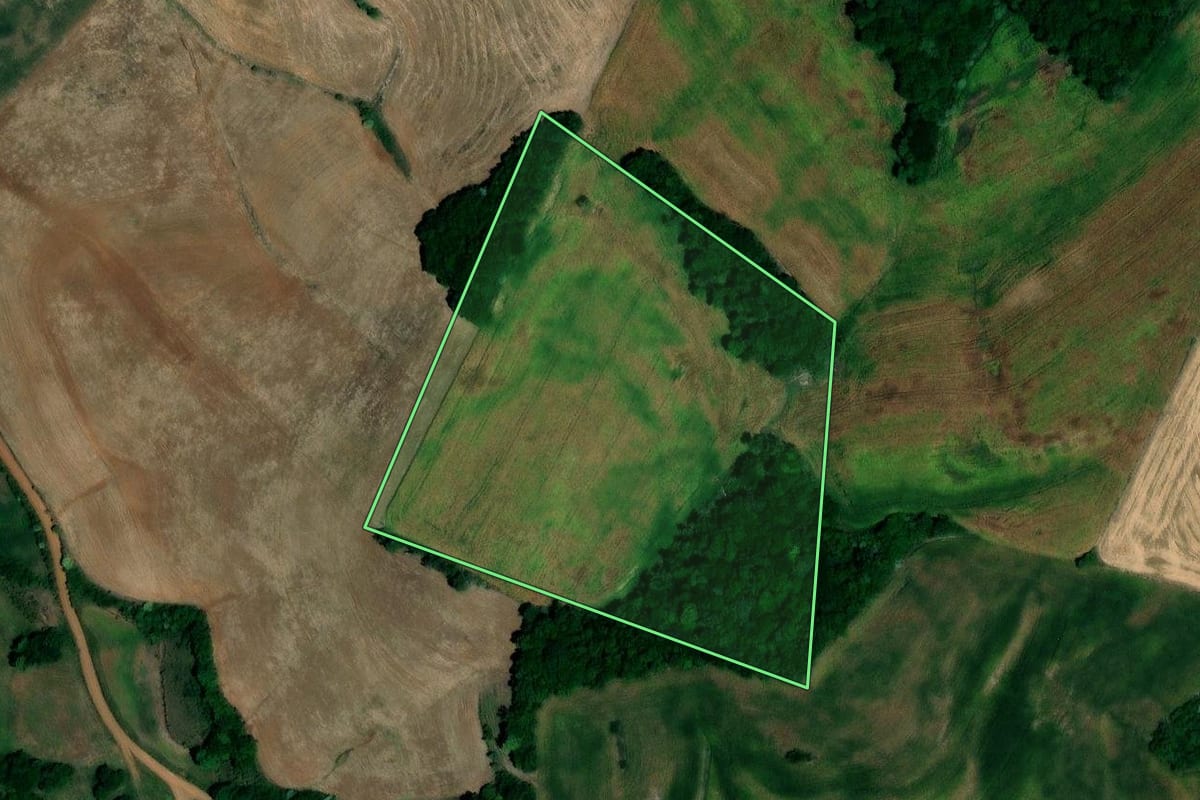 Imagem de satélite do imóvel rural em Jaboticaba (RS), com o contorno declarado no CAR desenhado por cima.