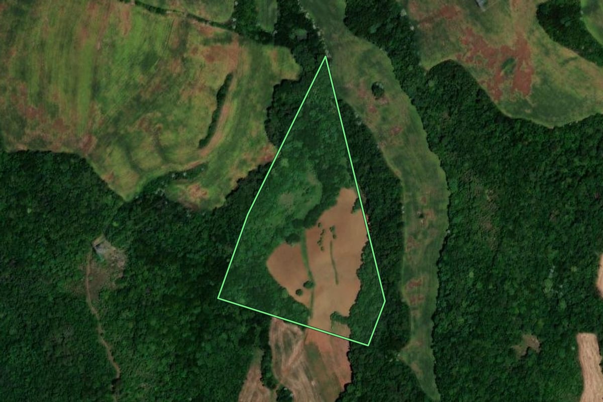 Imagem de satélite do imóvel rural em Jaboticaba (RS), com o contorno declarado no CAR desenhado por cima.