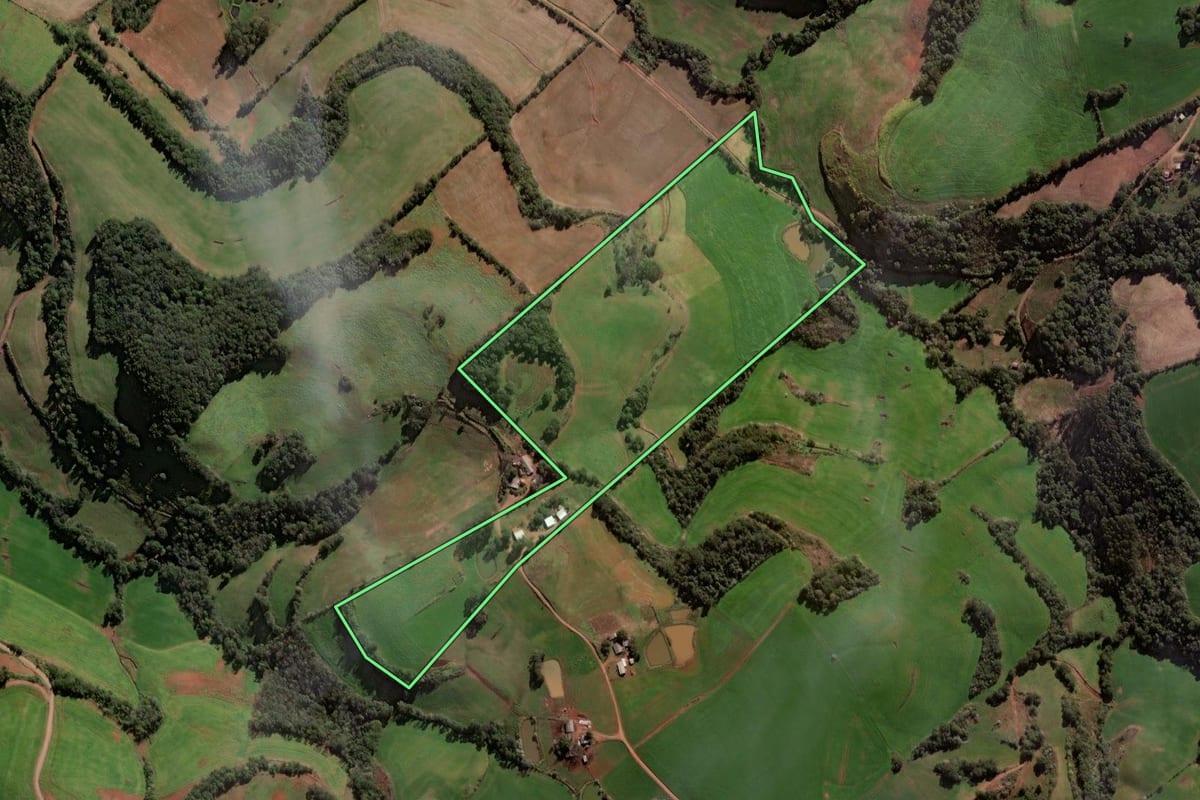 Imagem de satélite do imóvel rural em Jaboticaba (RS), com o contorno declarado no CAR desenhado por cima.