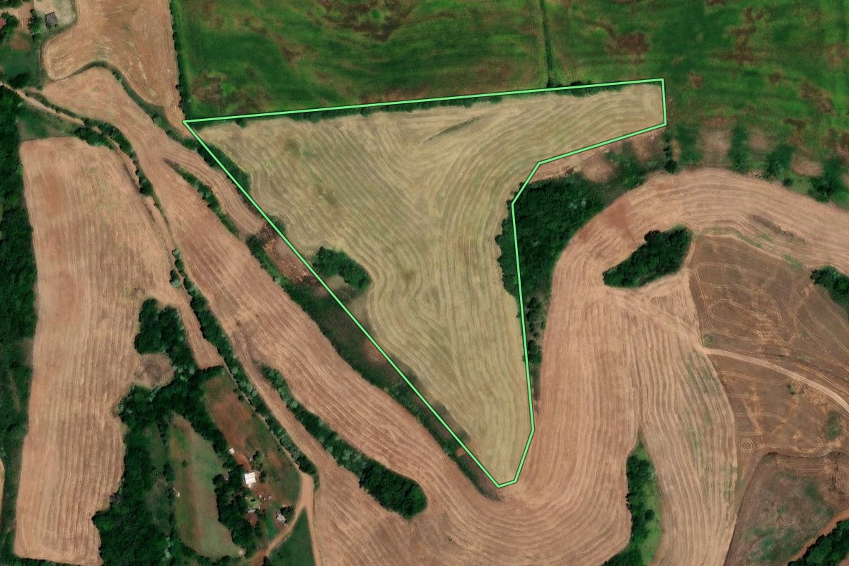 Imagem de satélite do imóvel rural em Jaboticaba (RS), com o contorno declarado no CAR desenhado por cima.